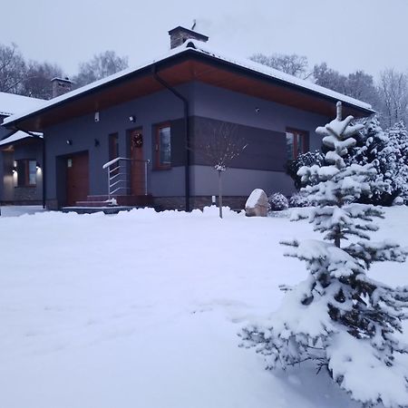 Domek Nad Zalewem ยานูฟปอดลาสกี ภายนอก รูปภาพ